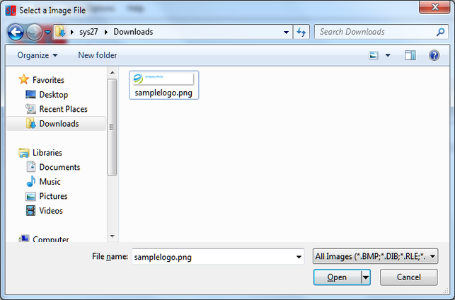 Custom Logo screen 2