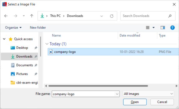 Custom Logo screen 2